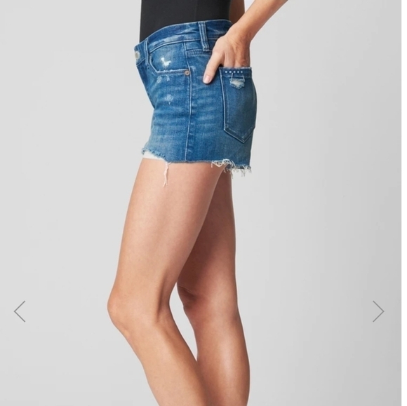 Blank NYC The Astor Brooklyn Baby Cut Off Raw Hem Distressed Shorts Size 26 - Picture 6 of 14